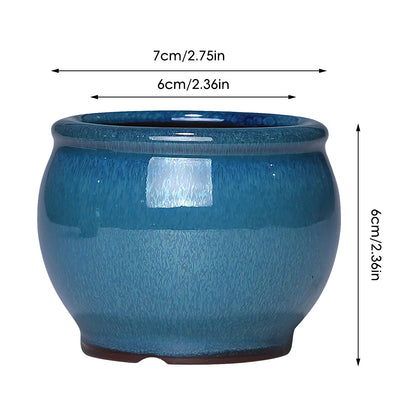 Ceramic Succulent Planter Pot