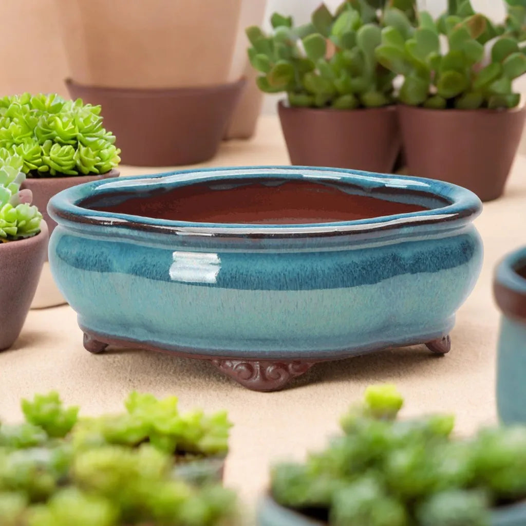 Ceramic Succulent Planter Pot