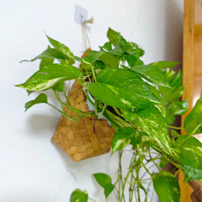 Woven Hanging Flower Basket
